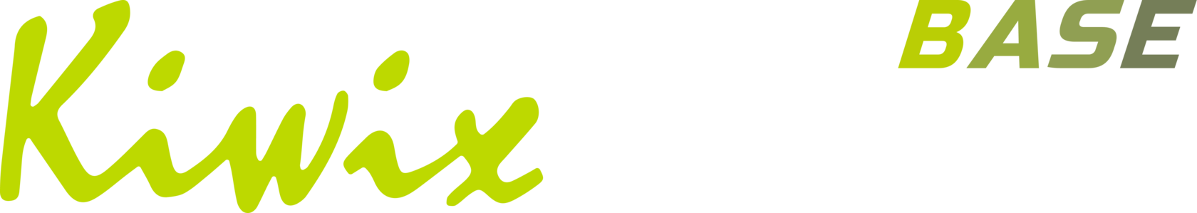 Kiwix PRO